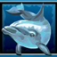 Дельфин - дикий символ