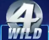 Дикарь аппарата - логотип с надписью Wild